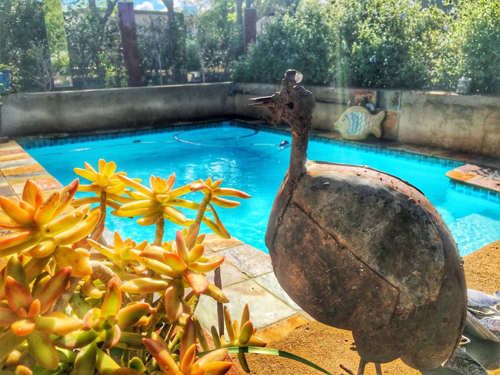 Steytlerville accommodation swimming pool